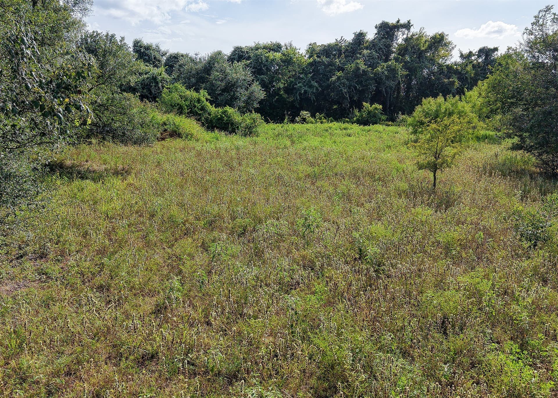 21.69 acres in Milam County - photo 2
