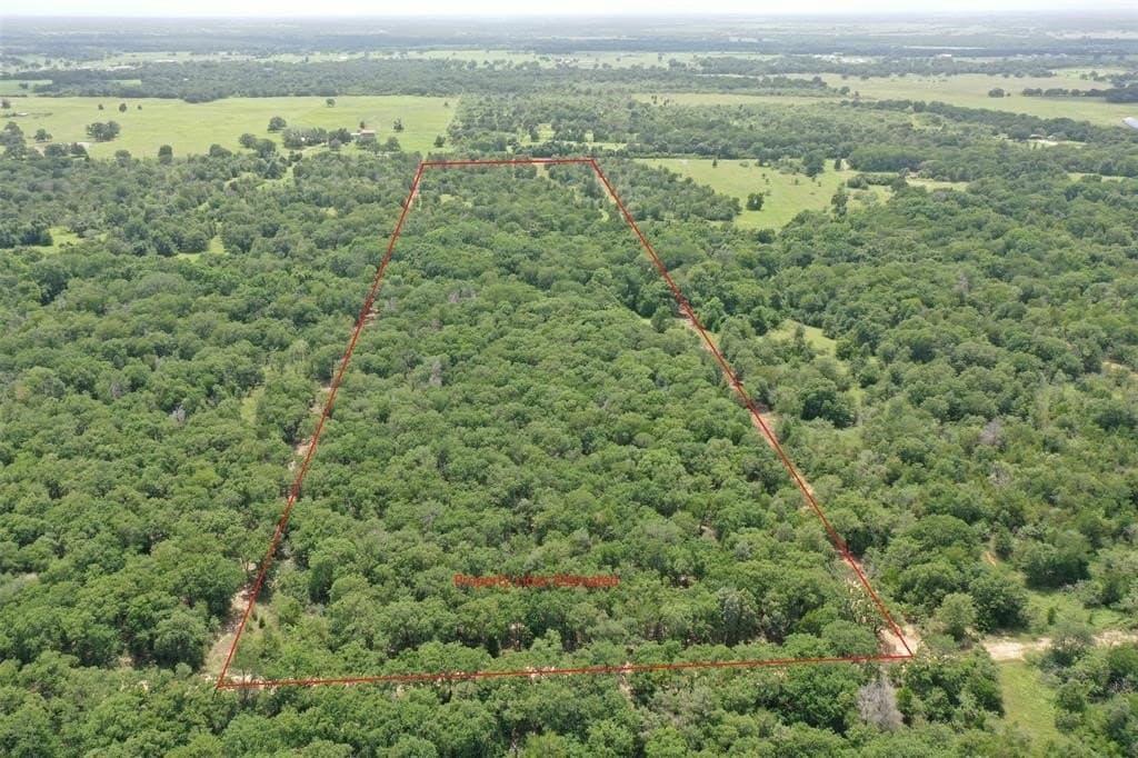 21.69 acres in Milam County - photo 7