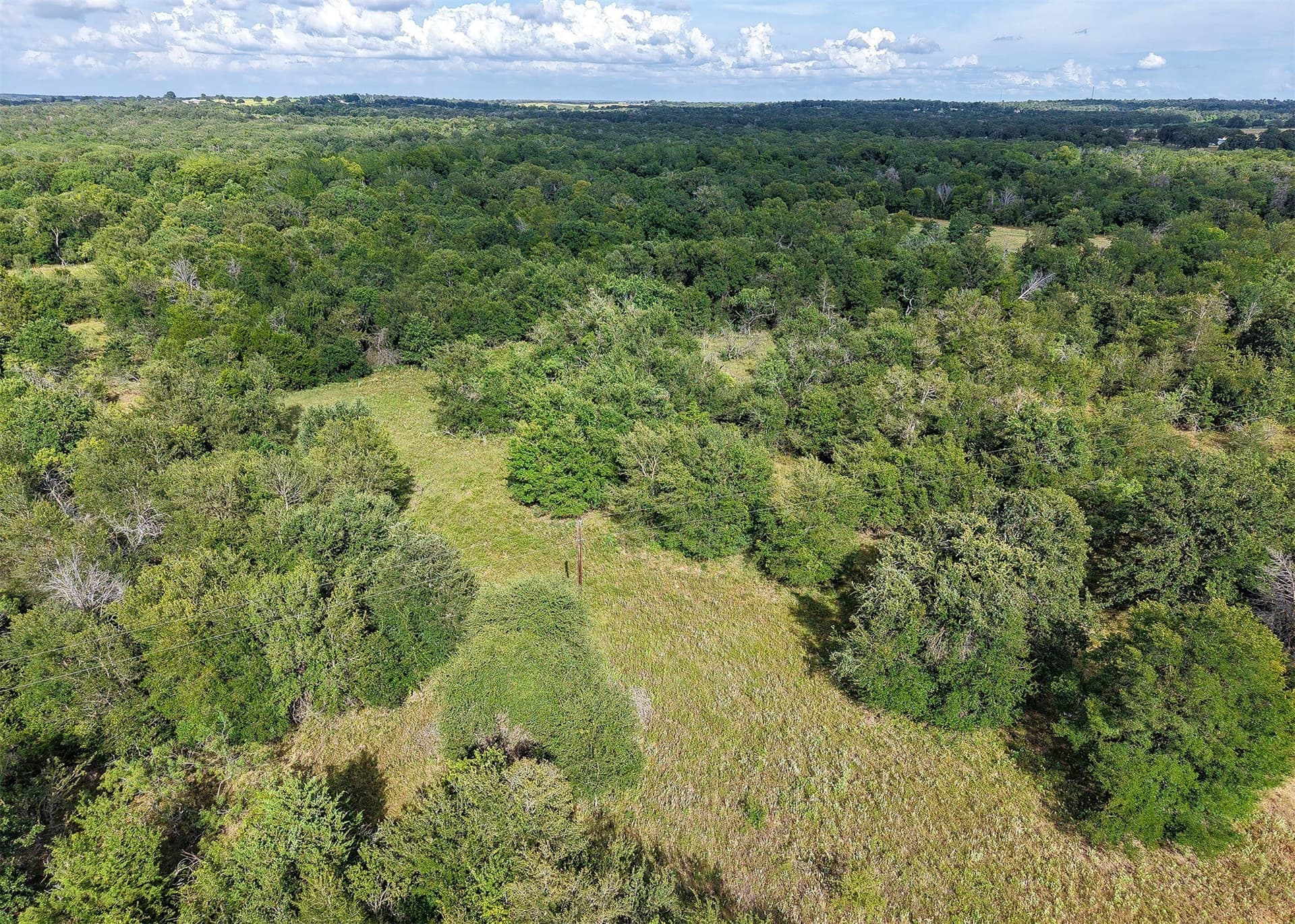 21.69 acres in Milam County - photo 3