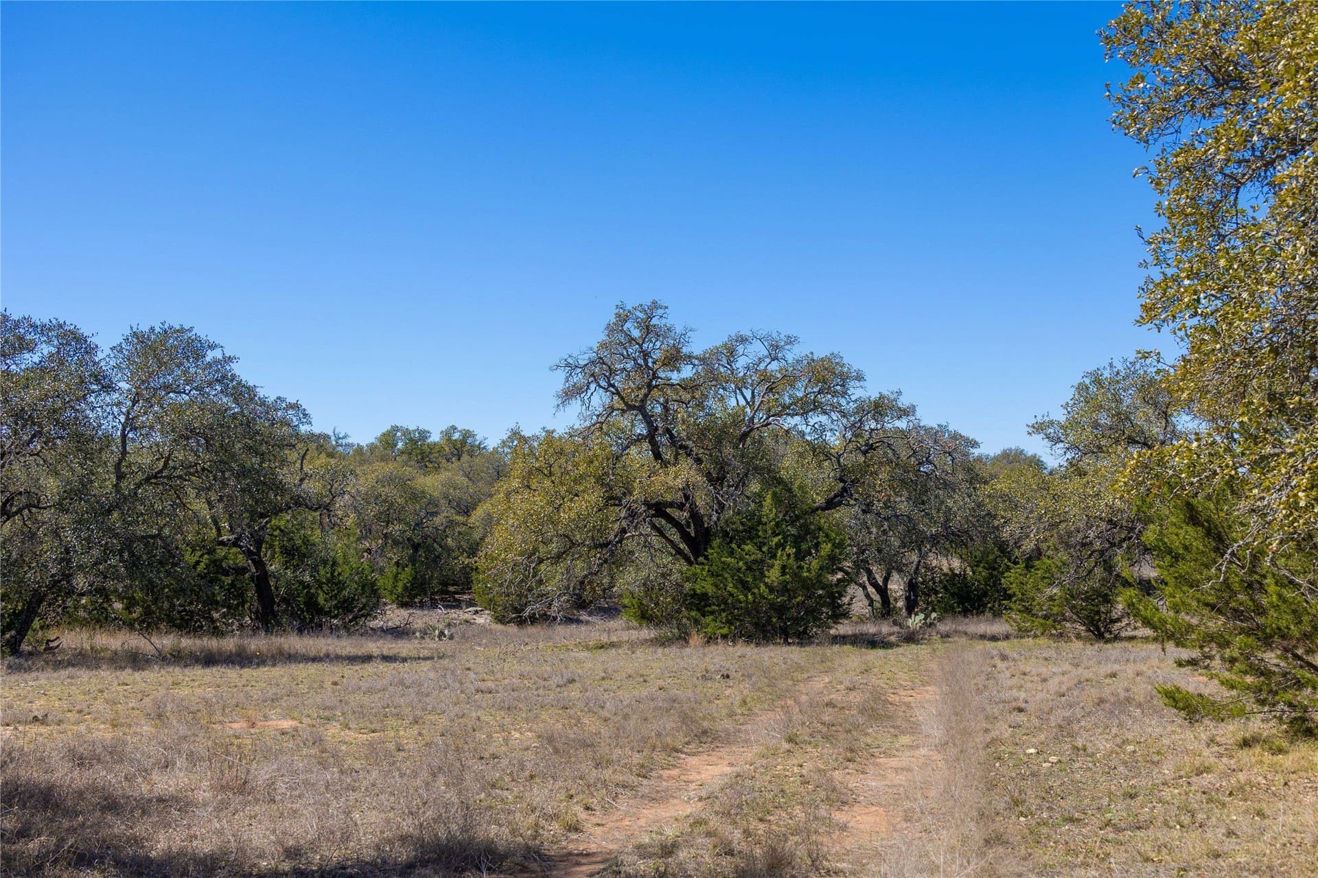 10.01 acres in Mills County gallery image 2