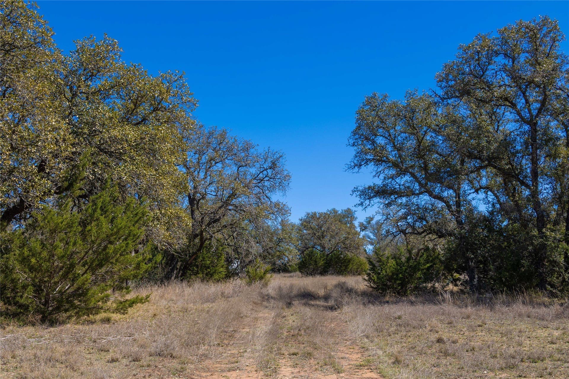 10.01 acres in Mills County gallery image 3