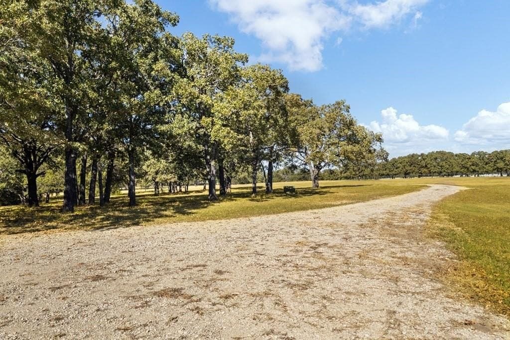 21.93 acres in Kaufman County gallery image 2