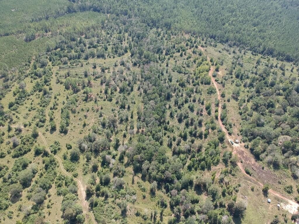 11 acres in Texas County - photo 15