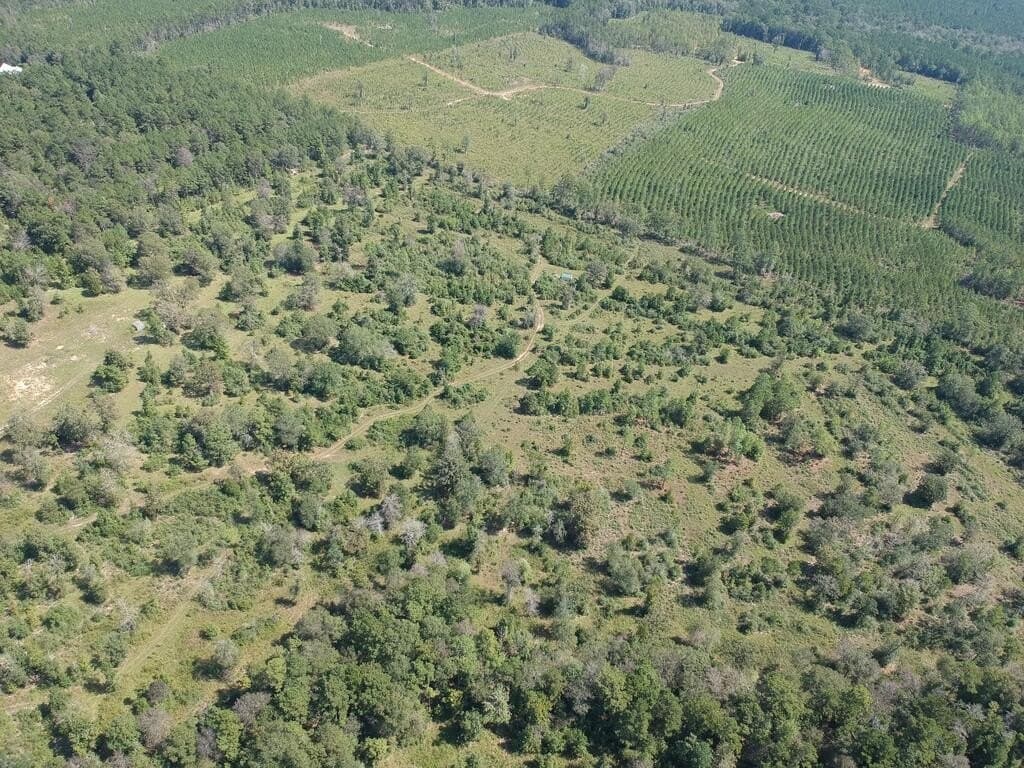 11 acres in Texas County - photo 8