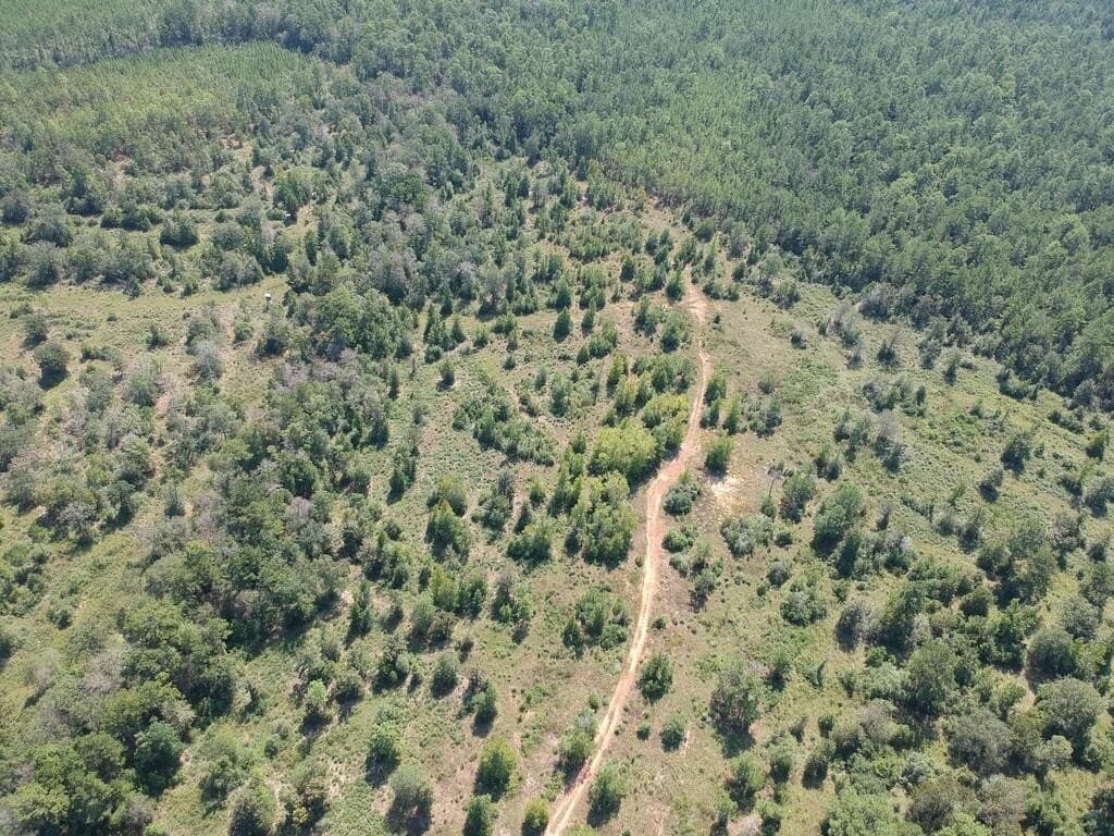 11 acres in Texas County - photo 10