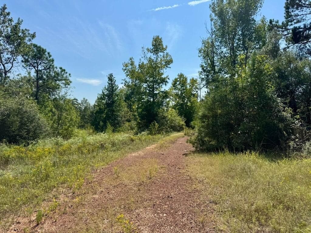 11 acres in Texas County - photo 5