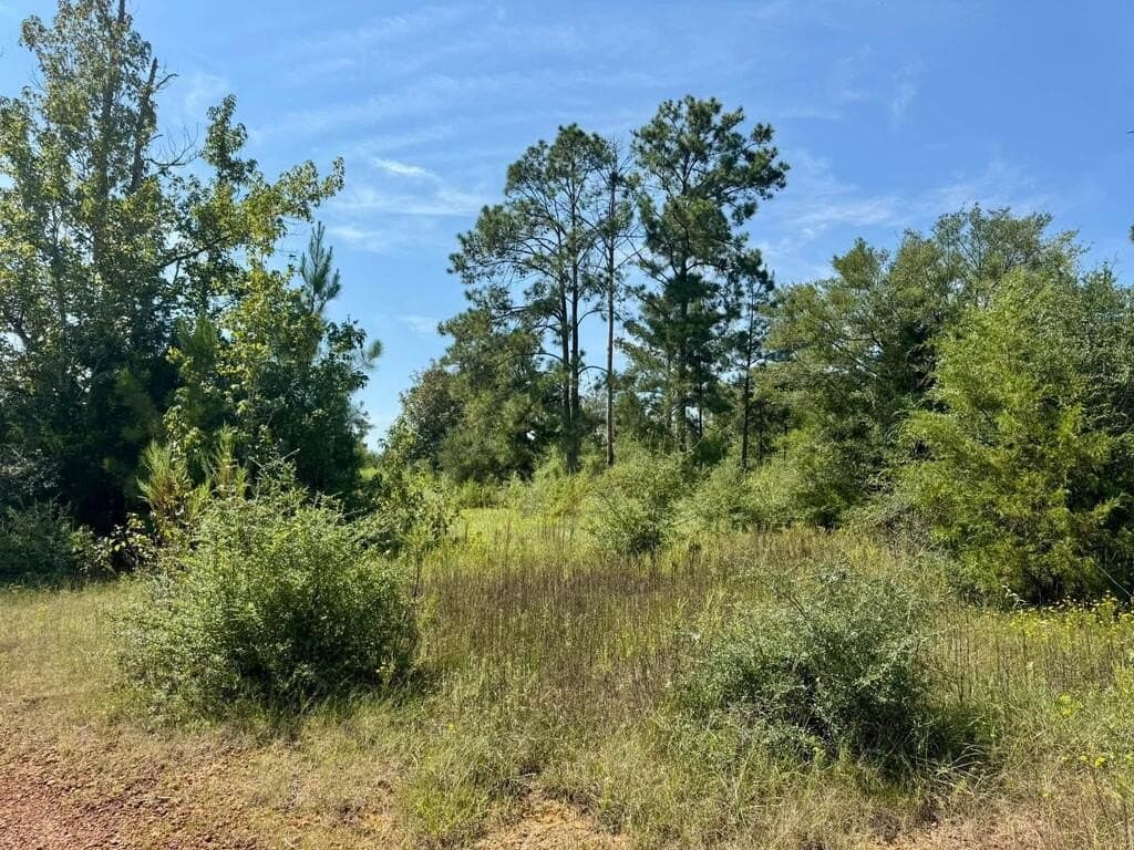 11 acres in Texas County - photo 2