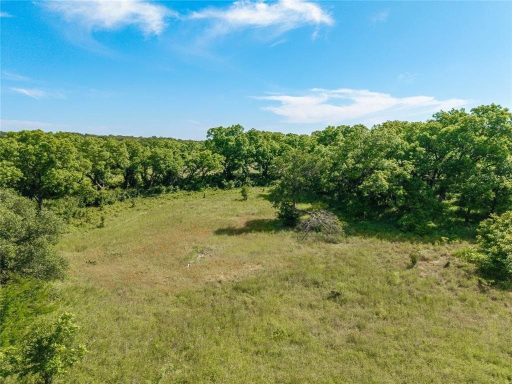 92.2 acres in Comanche County gallery image 4