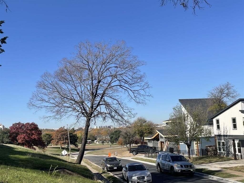 0.14 acres in Tarrant County gallery image 2