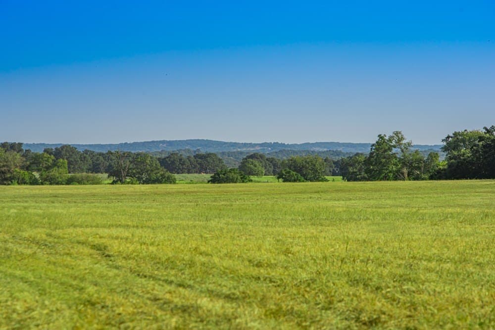 27.85 acres in Gillespie County gallery image 4