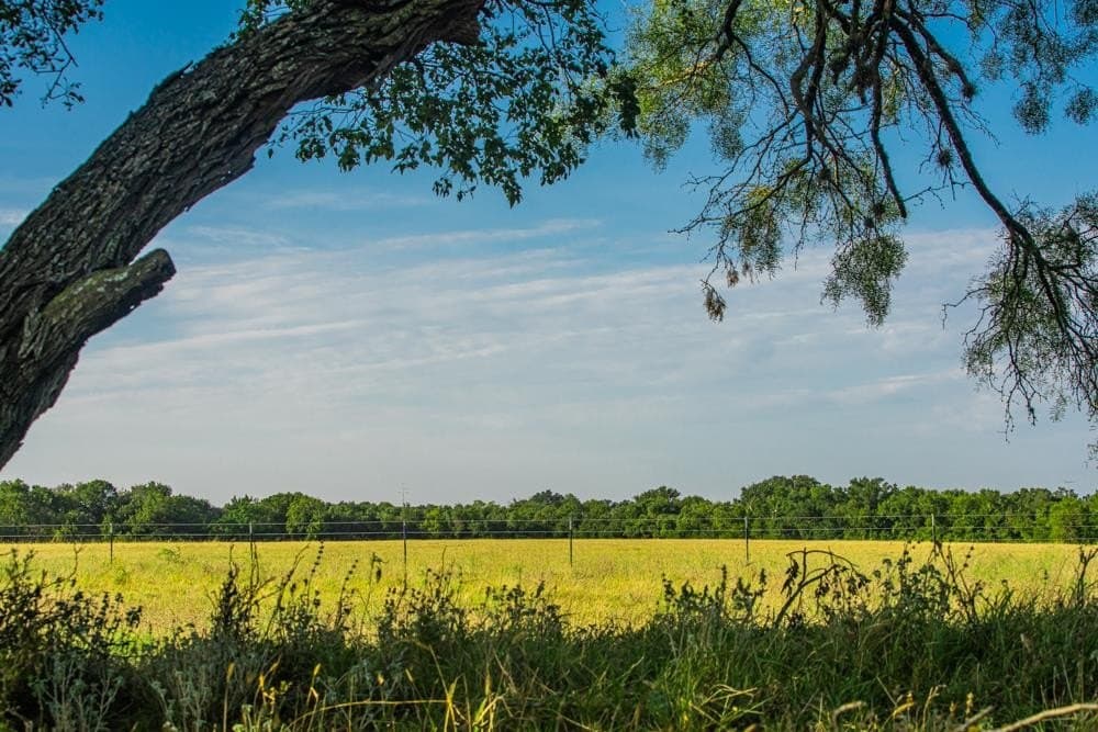 27.85 acres in Gillespie County - photo 8