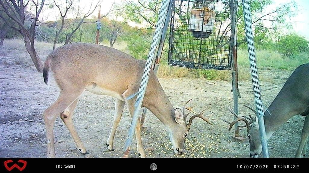 44.85 acres in Brown County gallery image 3