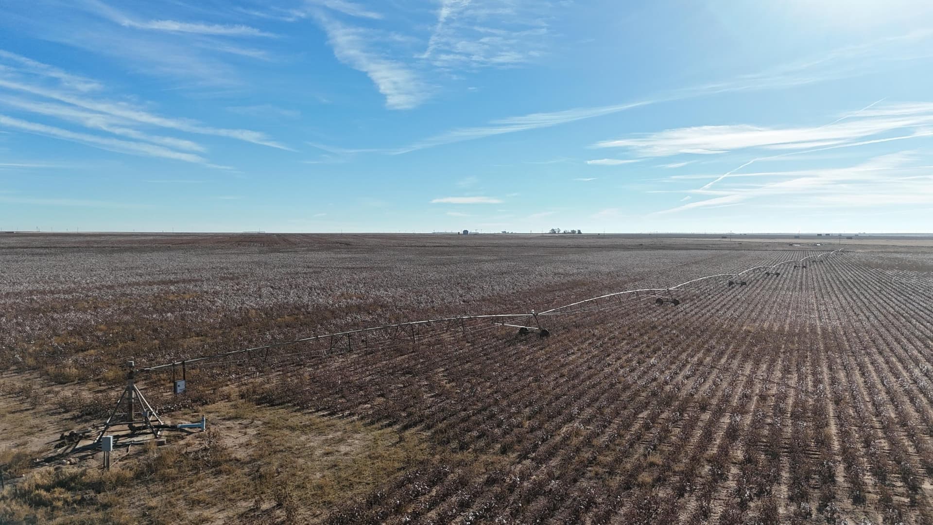 160 acres in Terry County - photo 9