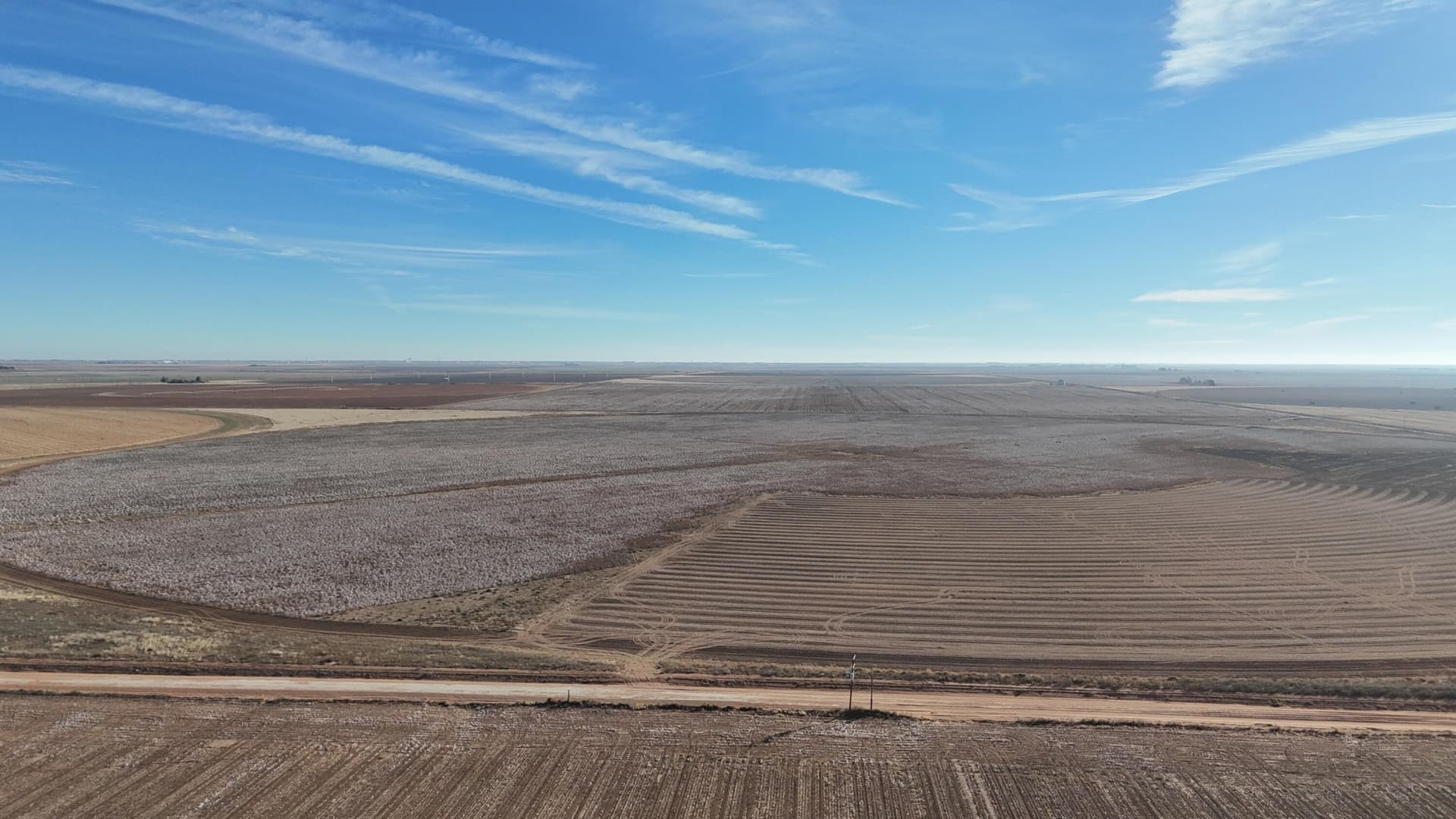 160 acres in Terry County gallery image 3