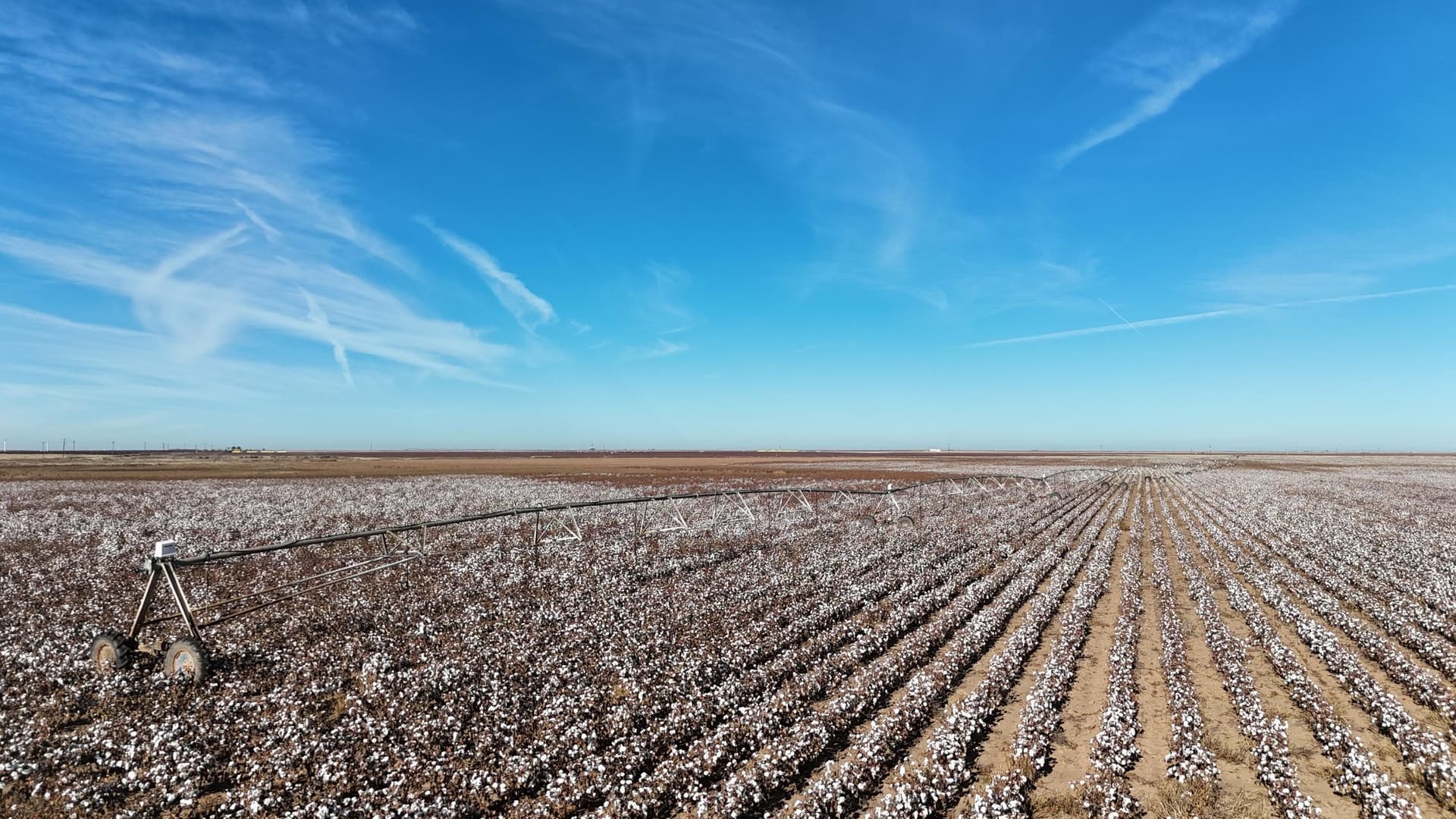 160 acres in Terry County - photo 8