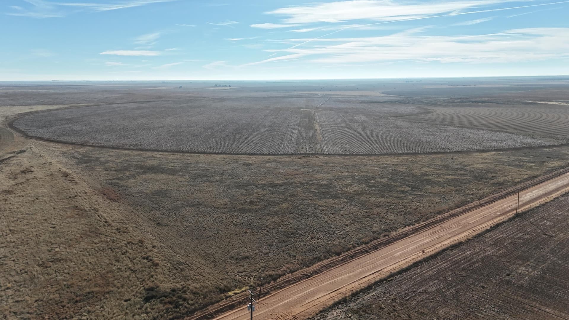 160 acres in Terry County gallery image 2