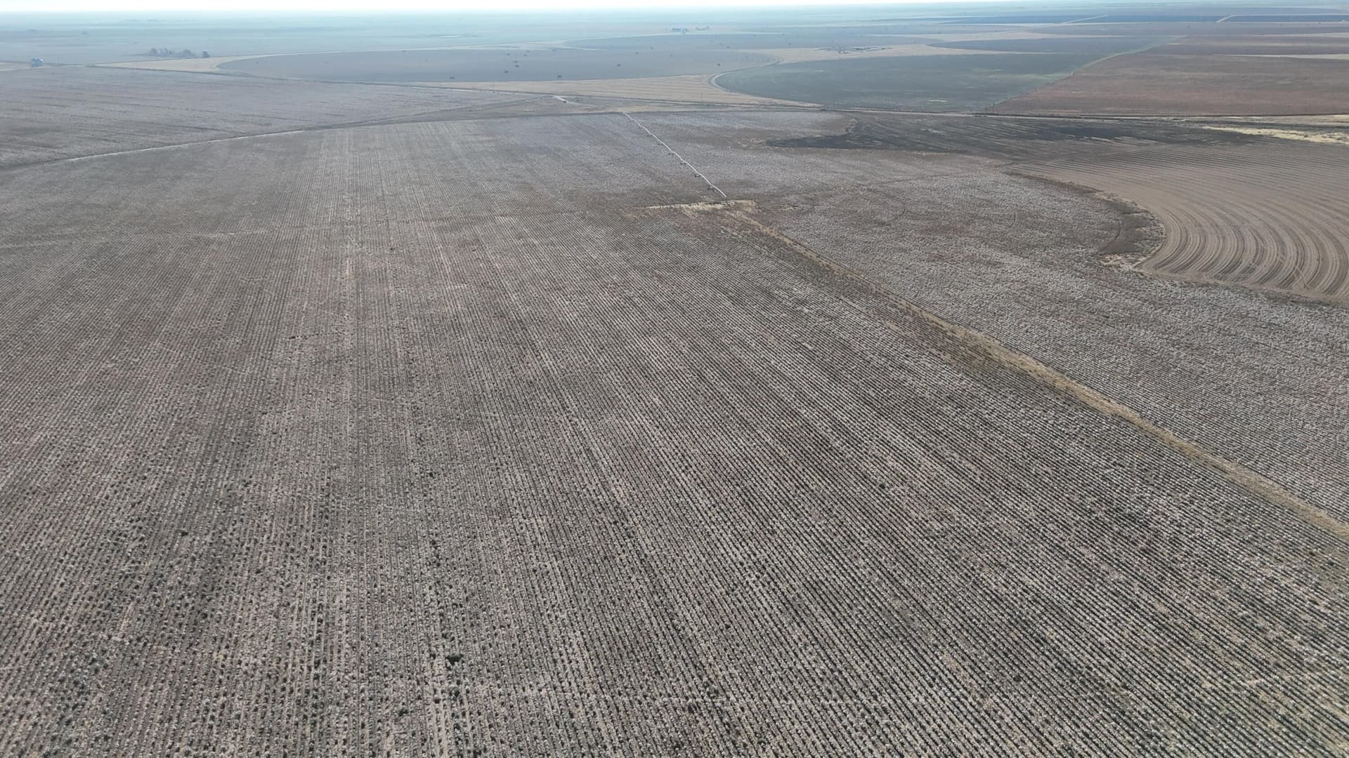 160 acres in Terry County - photo 10