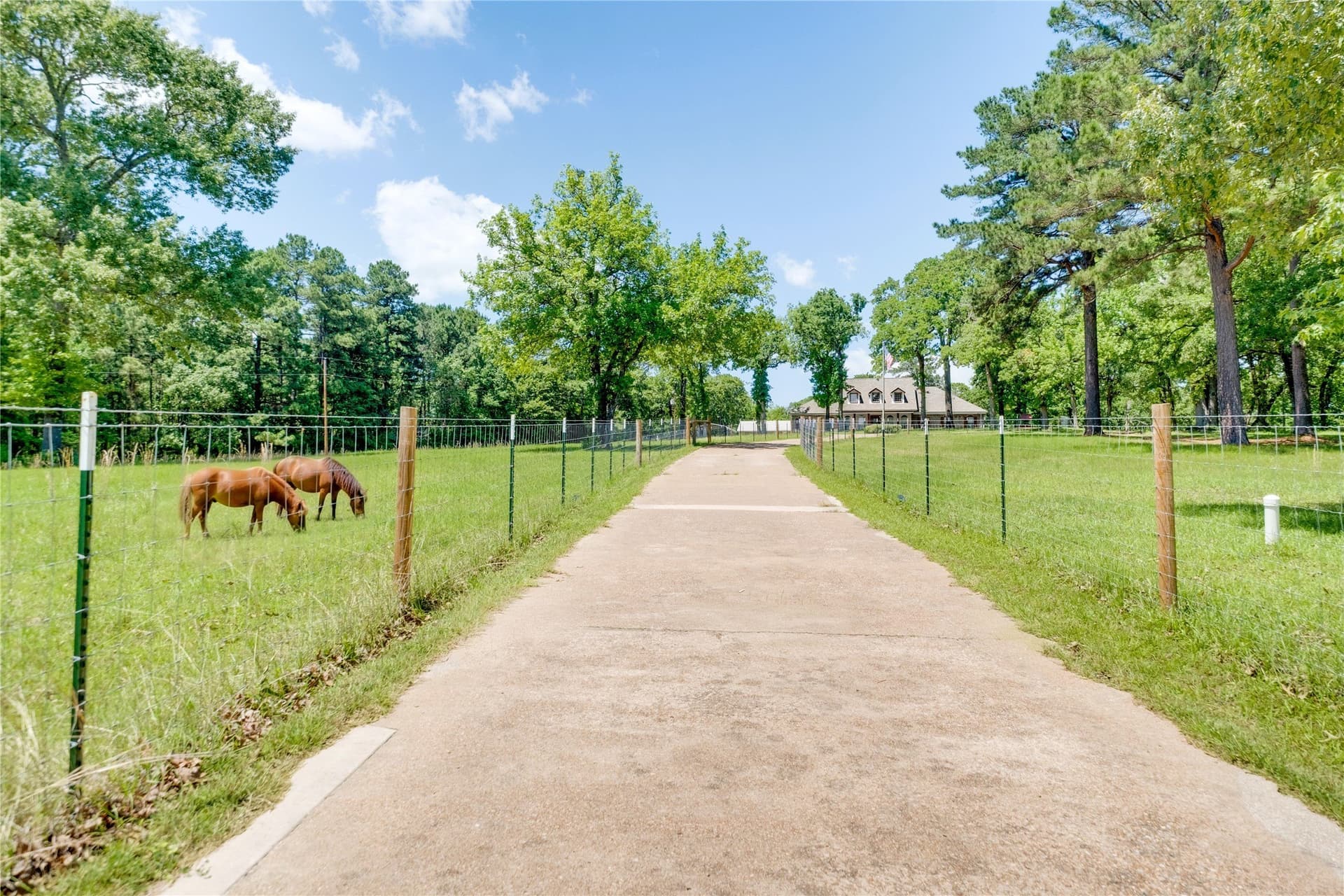 28.09 acres in Anderson County - photo 3