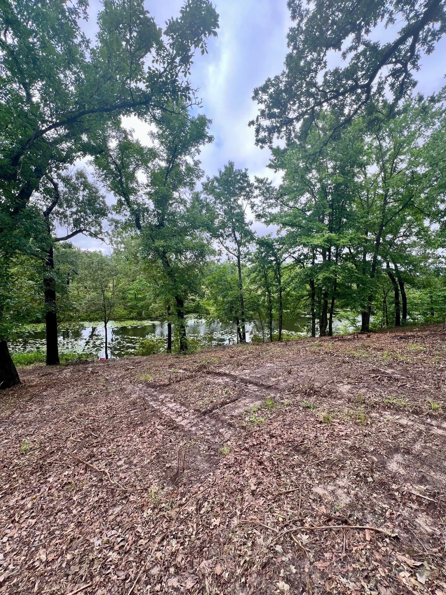 2.18 acres in Henderson County - photo 15