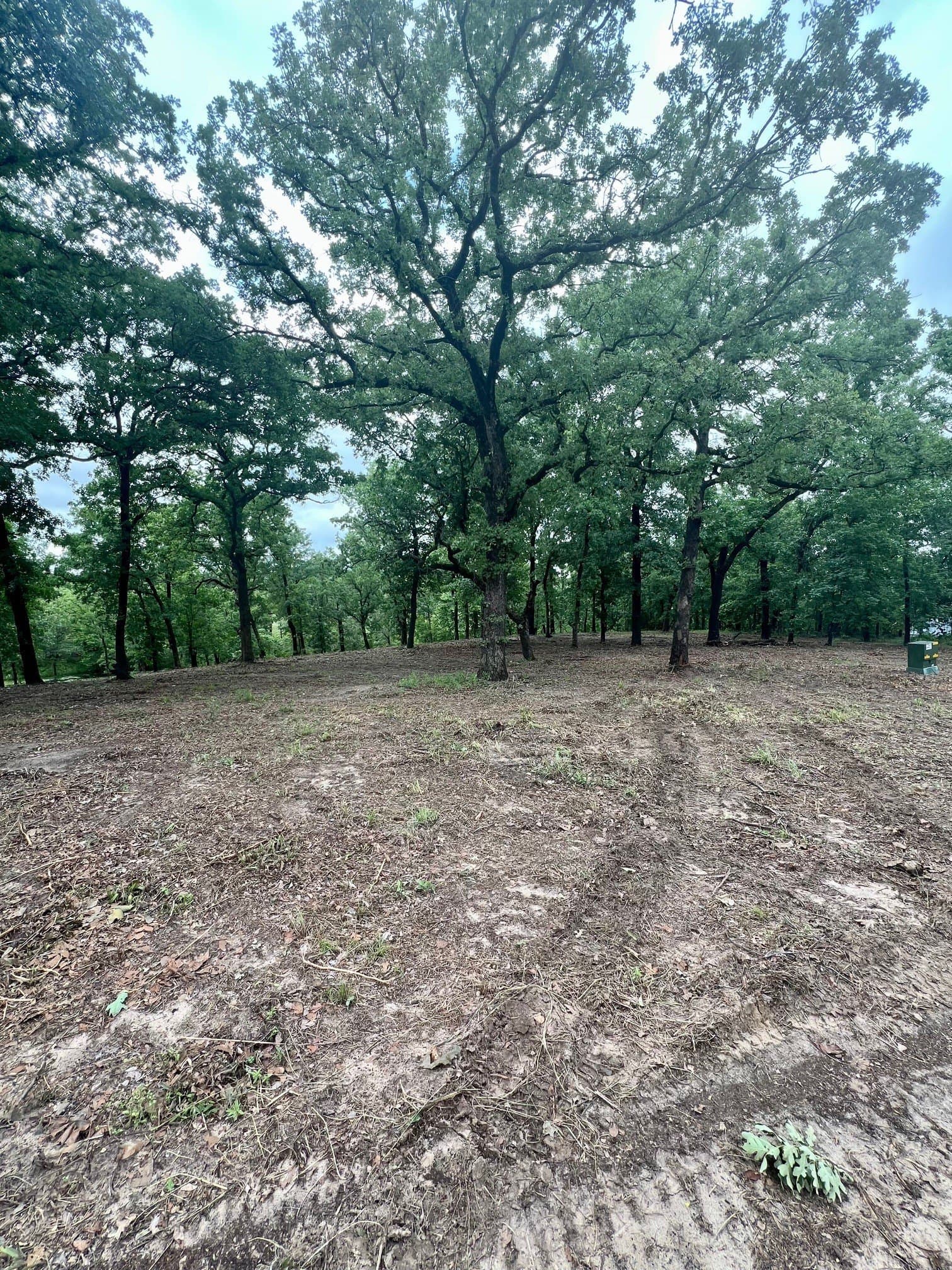 2.18 acres in Henderson County - photo 12