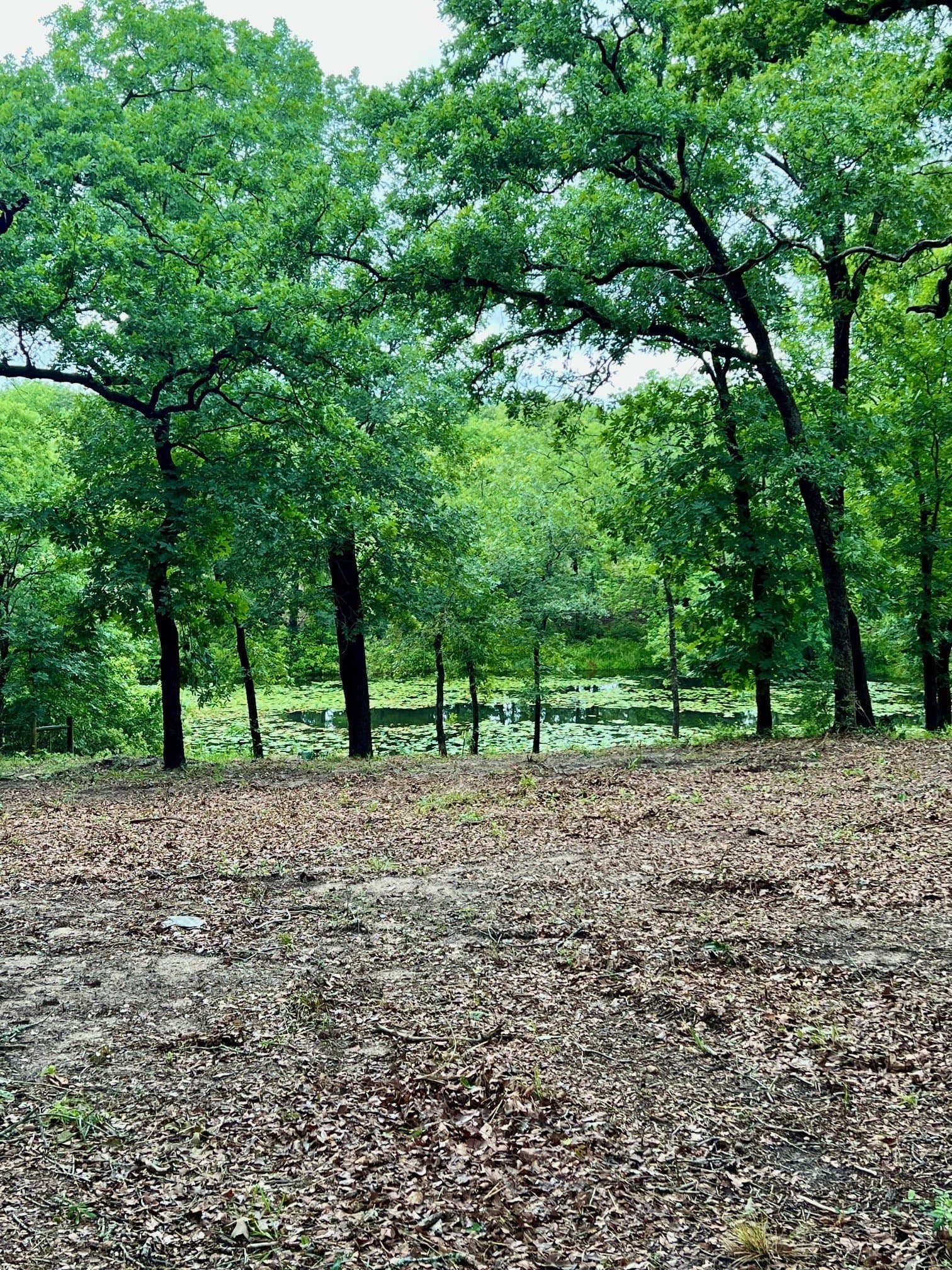 2.18 acres in Henderson County - photo 8
