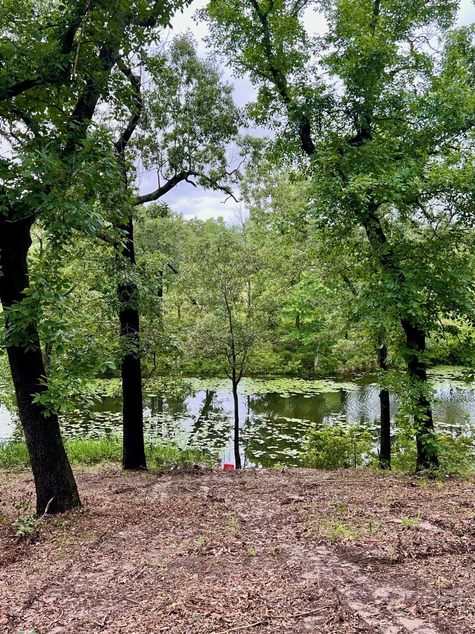 2.18 acres in Henderson County - photo 5