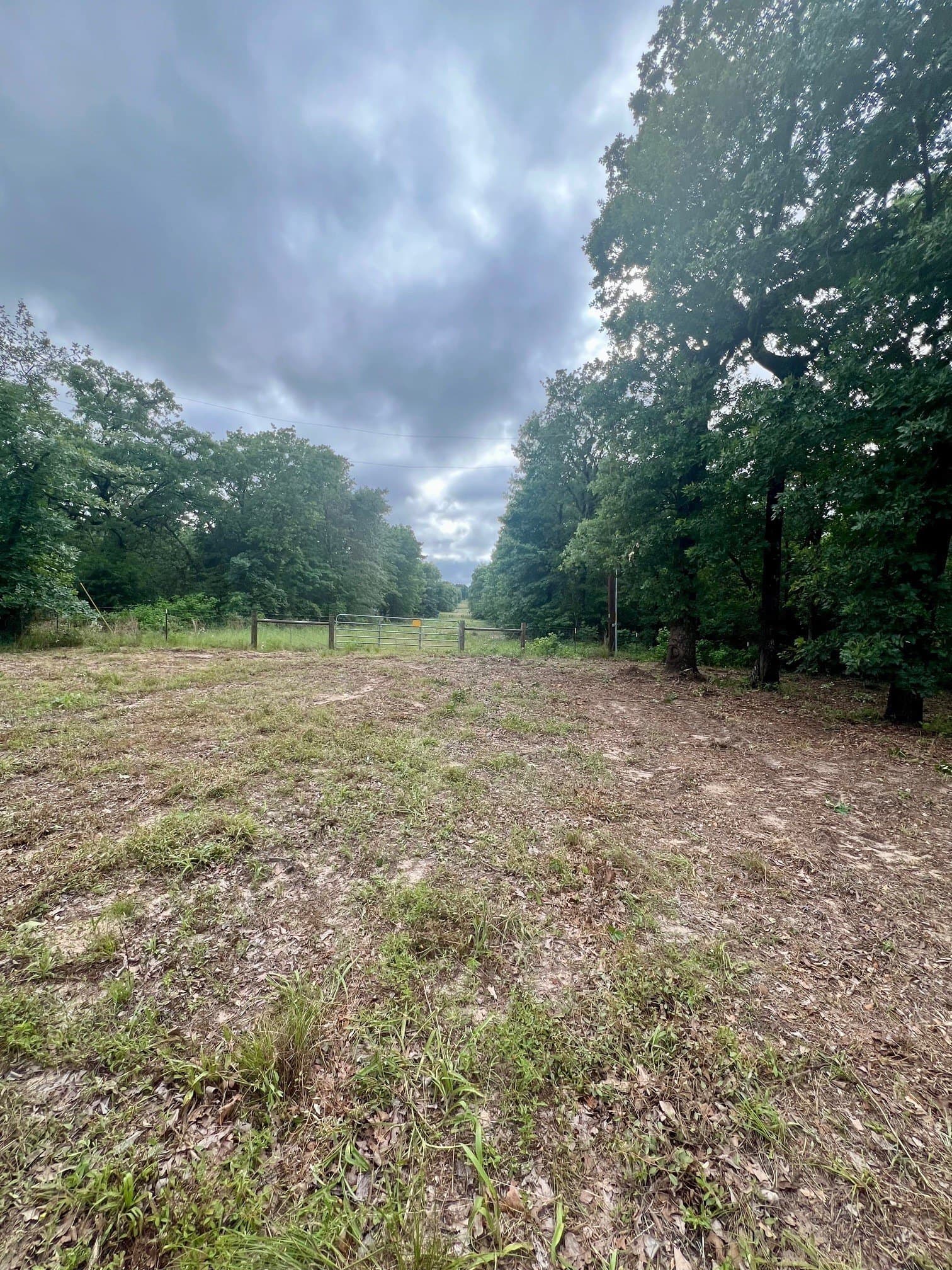 2.18 acres in Henderson County - photo 10
