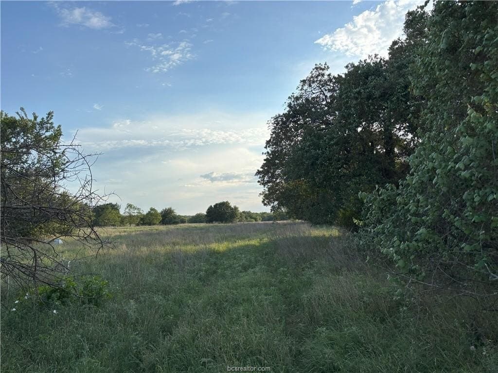 73.44 acres in Burleson County