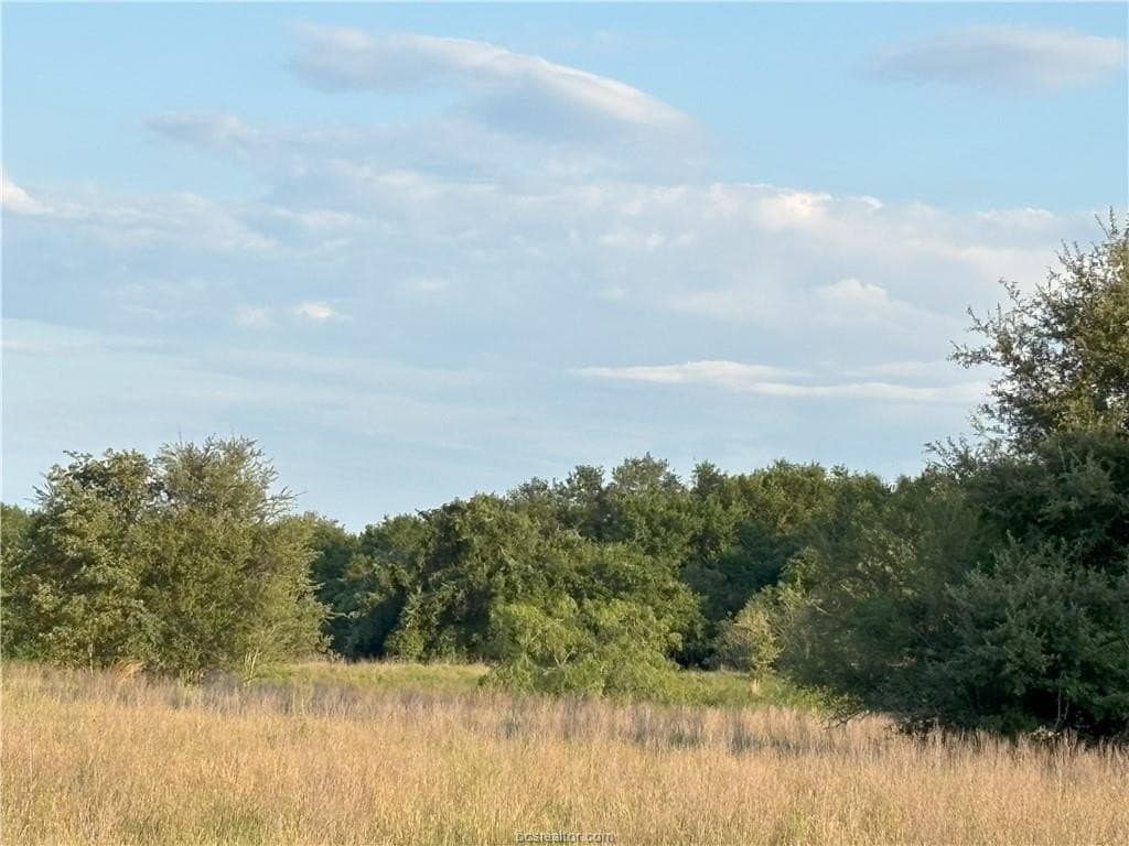 73.44 acres in Burleson County featured view