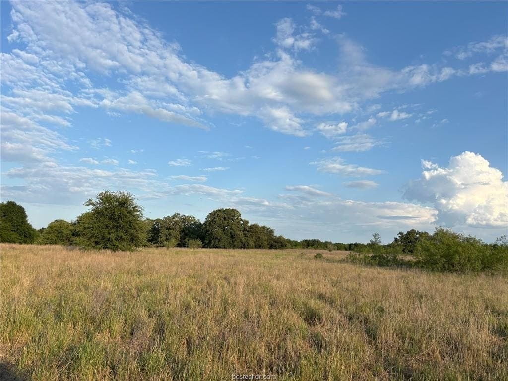73.44 acres in Burleson County gallery image 4