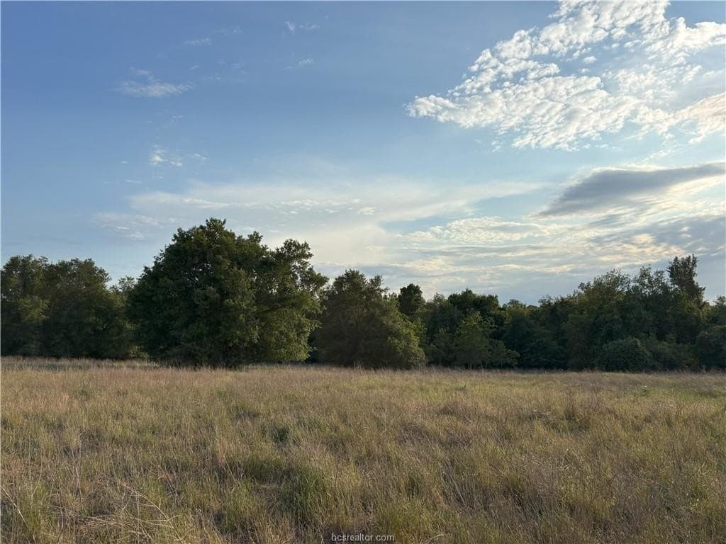 73.44 acres in Burleson County gallery image 2