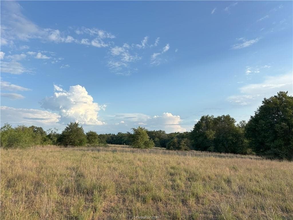 73.44 acres in Burleson County gallery image 3