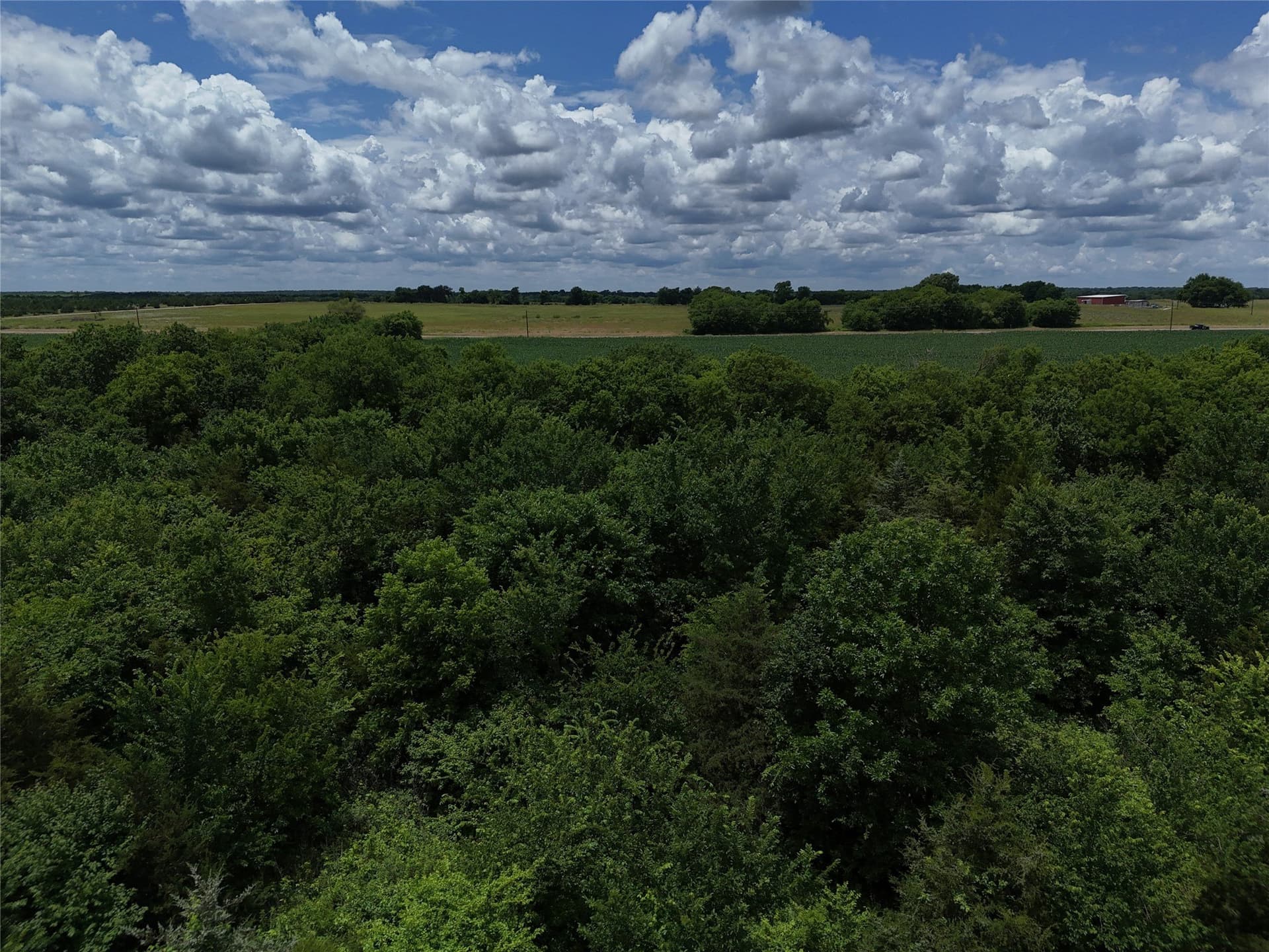 20.36 acres in Delta County - photo 10