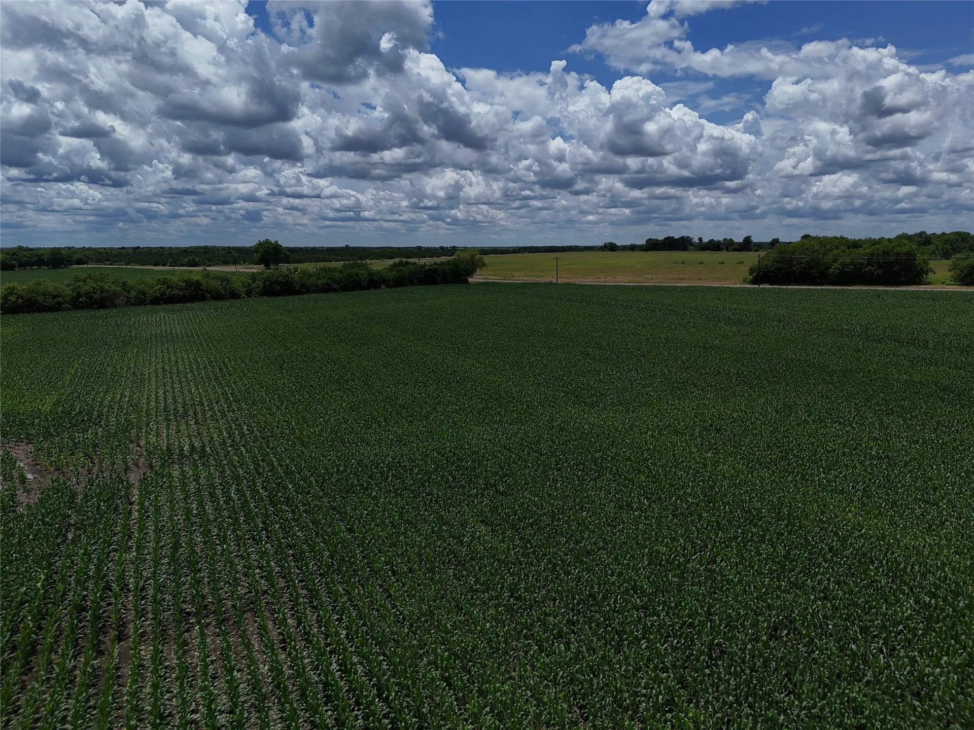 20.36 acres in Delta County - photo 15