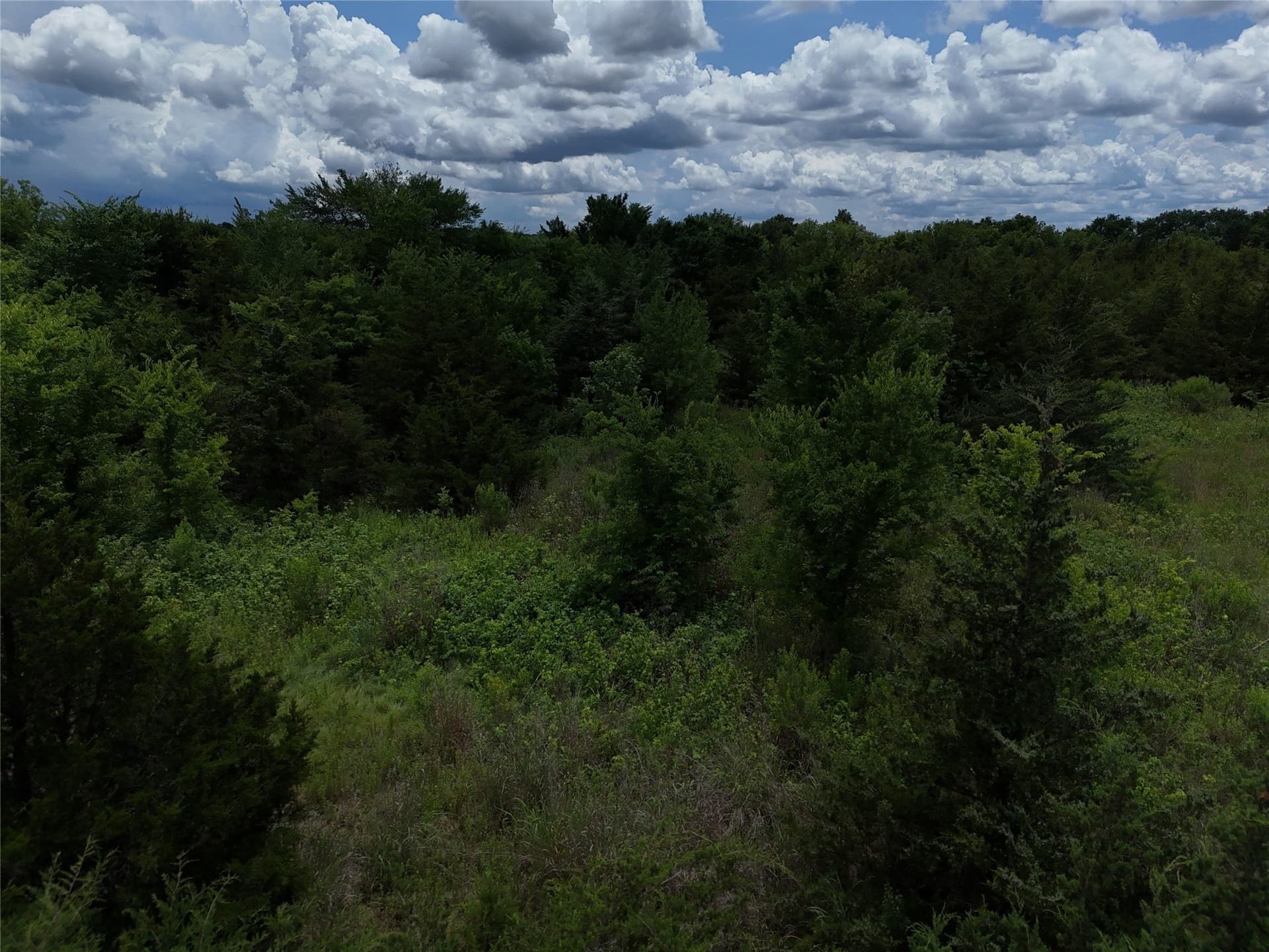 20.36 acres in Delta County - photo 7