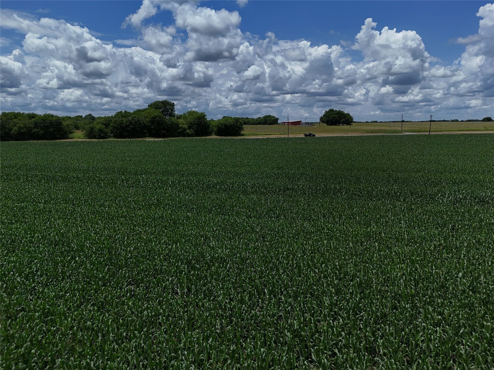 20.36 acres in Delta County - photo 16