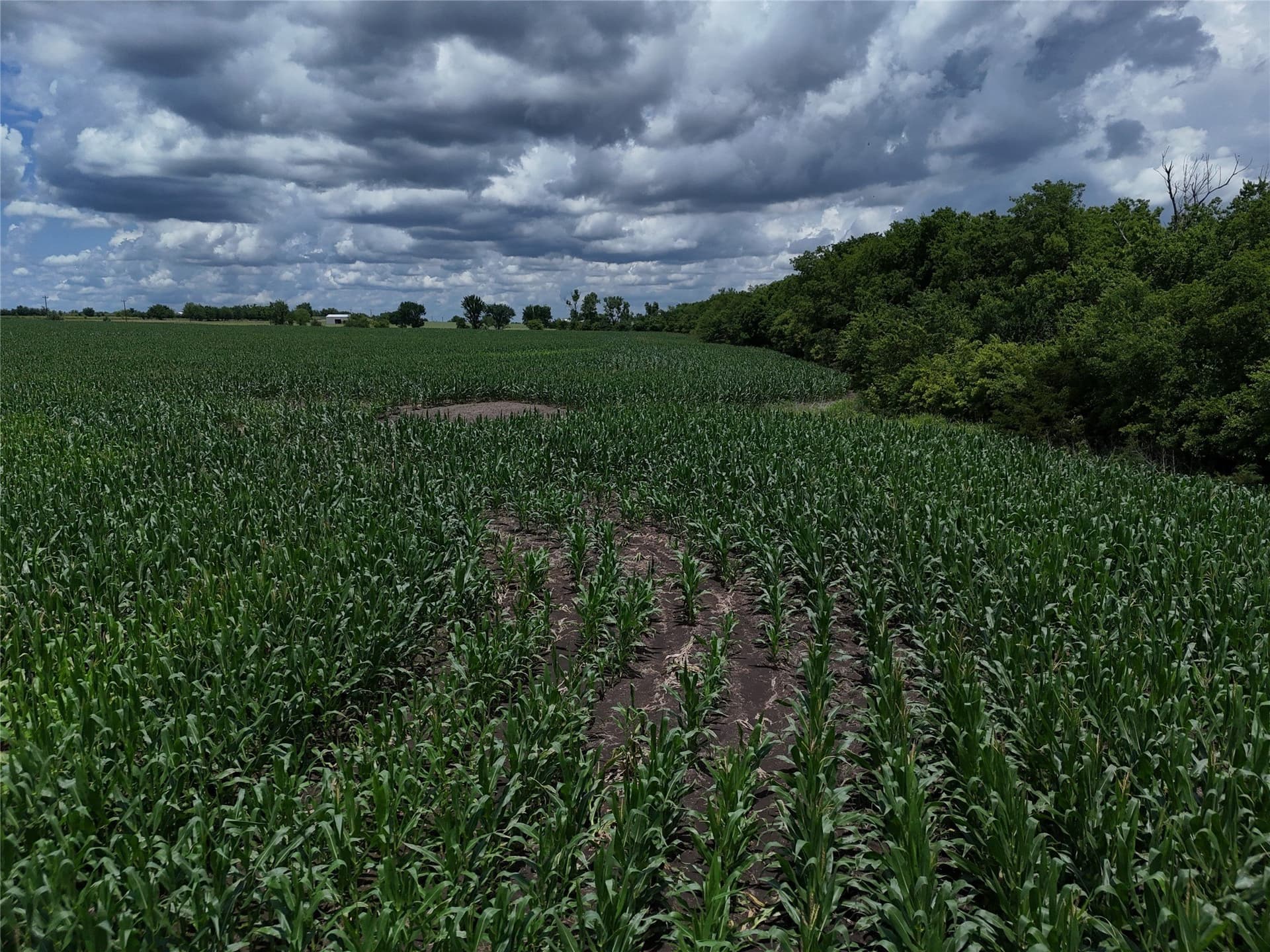 20.36 acres in Delta County - photo 13