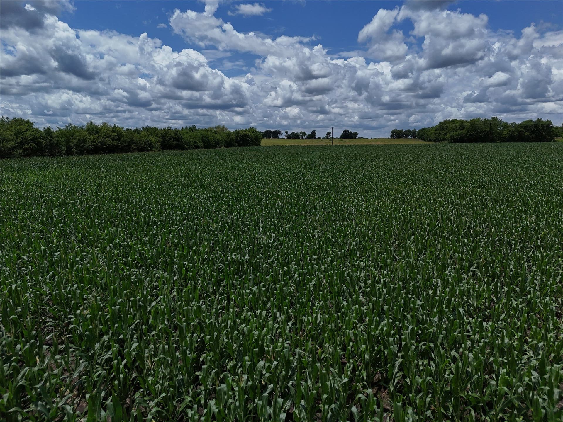 20.36 acres in Delta County - photo 11