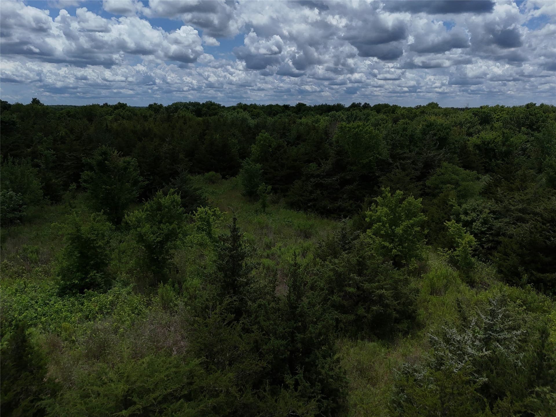 20.36 acres in Delta County - photo 6