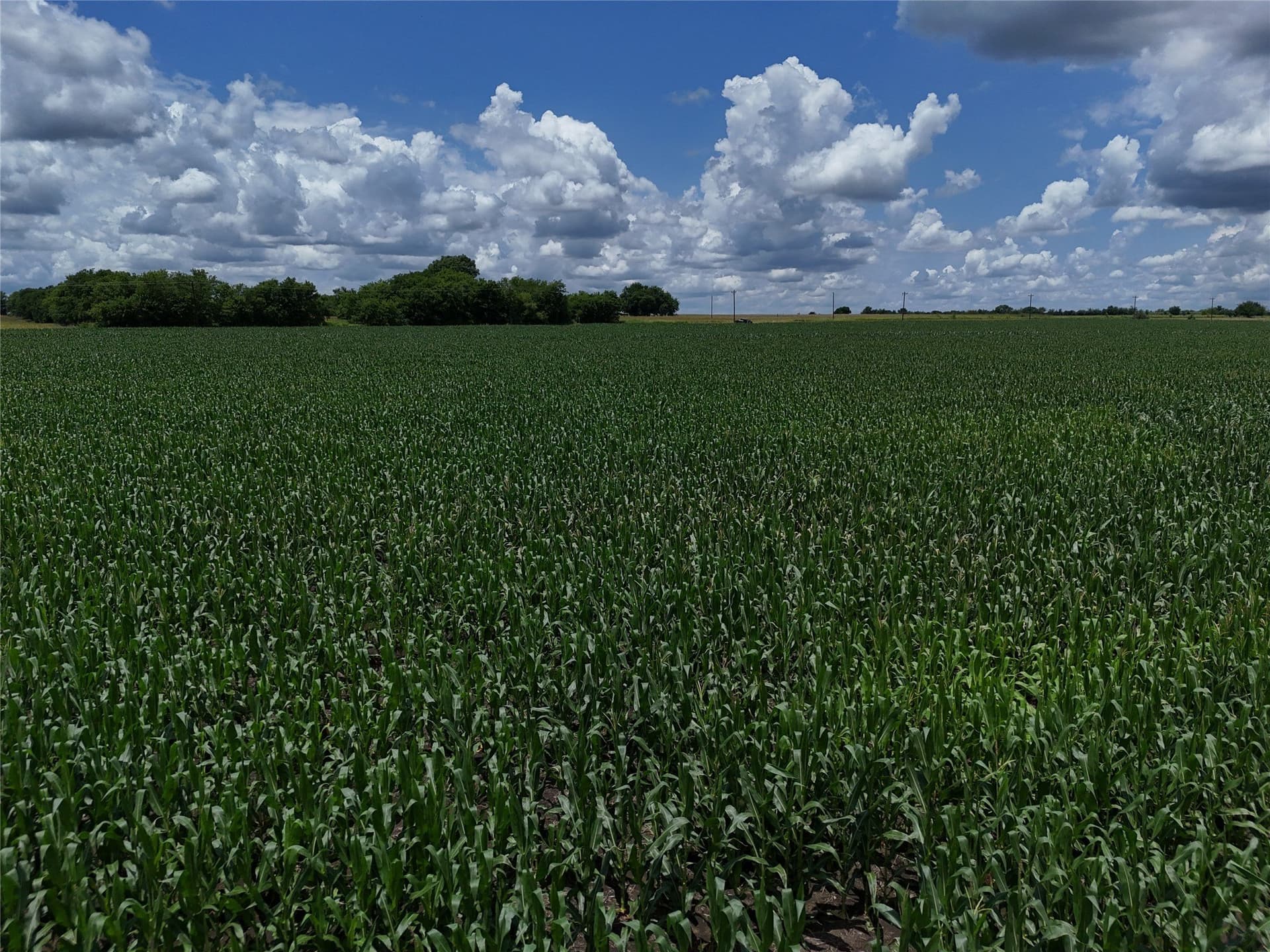 20.36 acres in Delta County - photo 12
