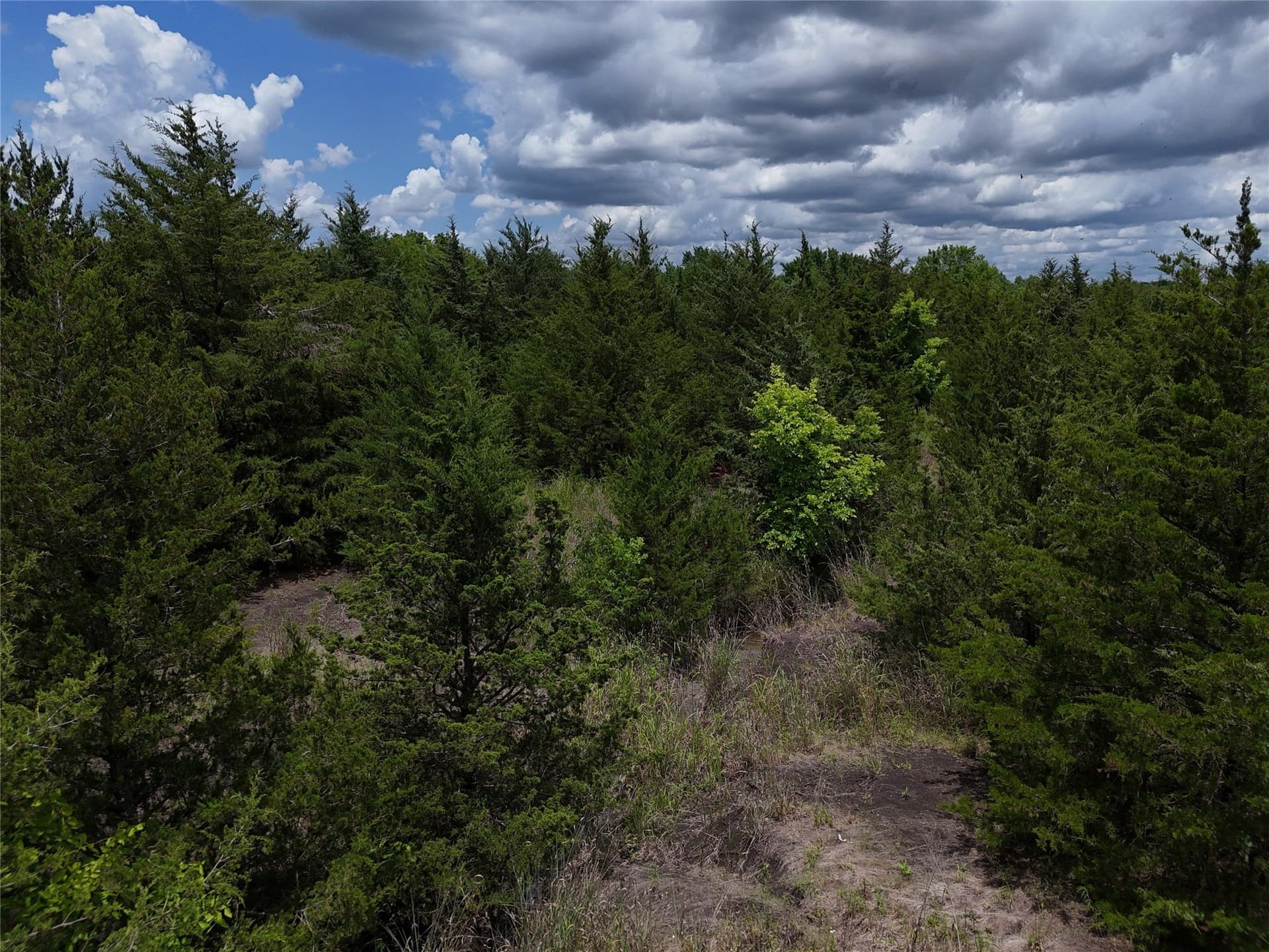 20.36 acres in Delta County - photo 9