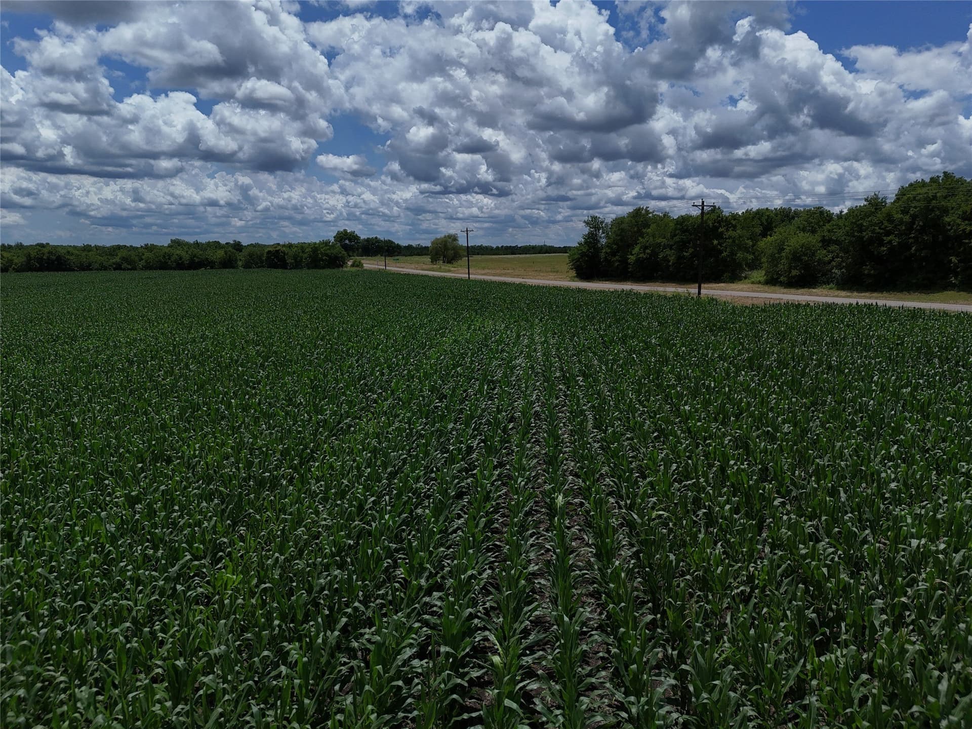 20.36 acres in Delta County - photo 17