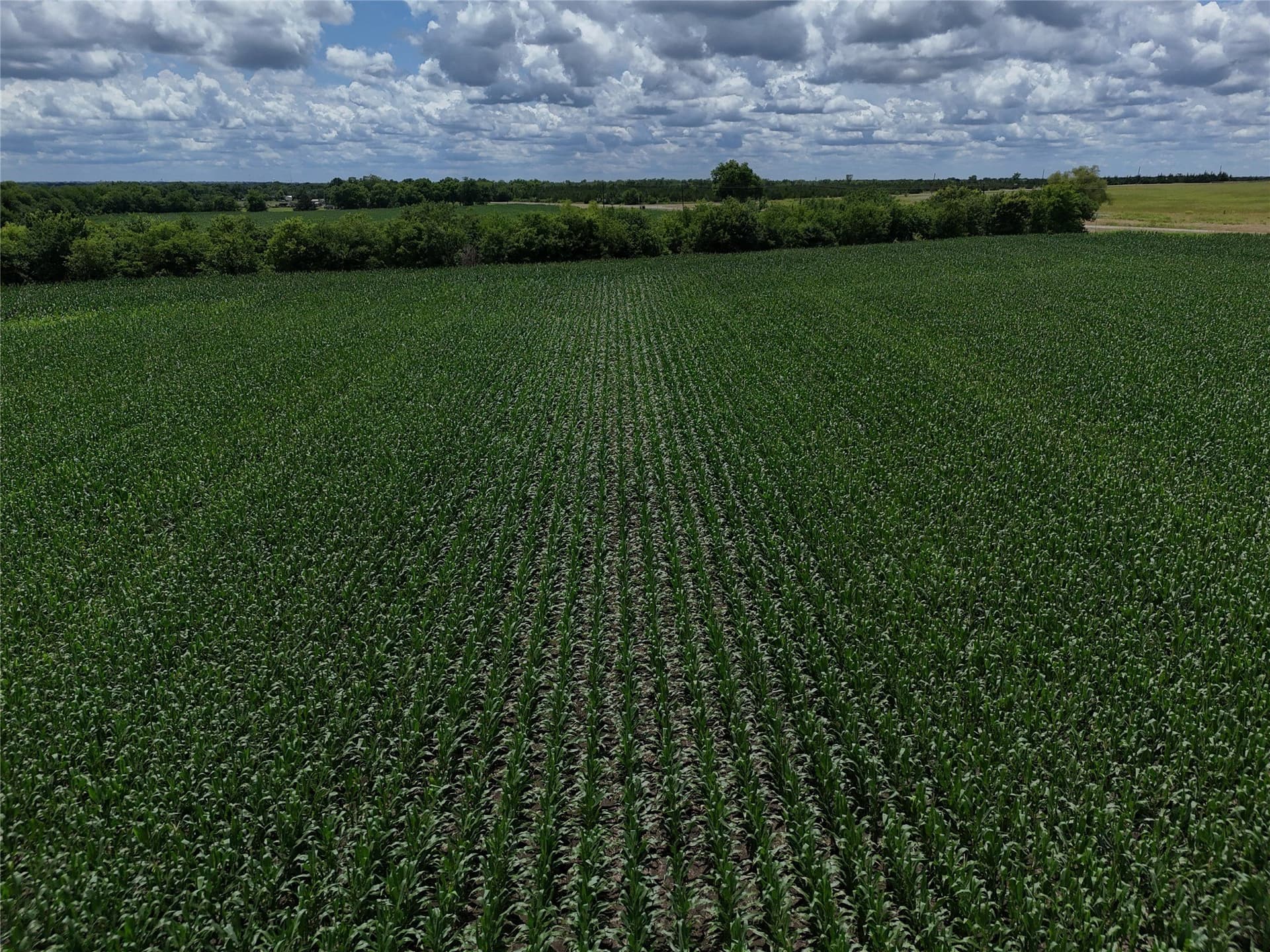 20.36 acres in Delta County - photo 14