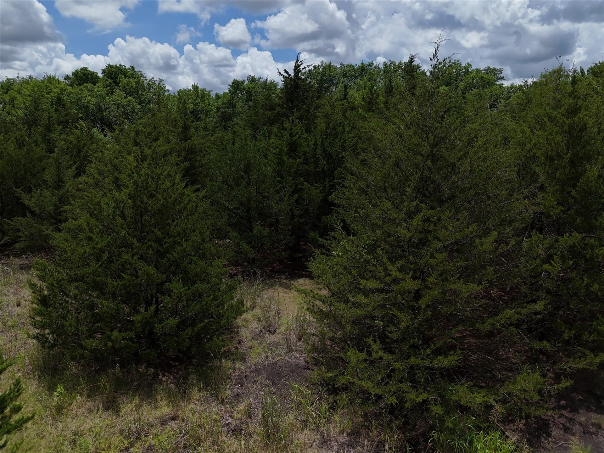 20.36 acres in Delta County - photo 8