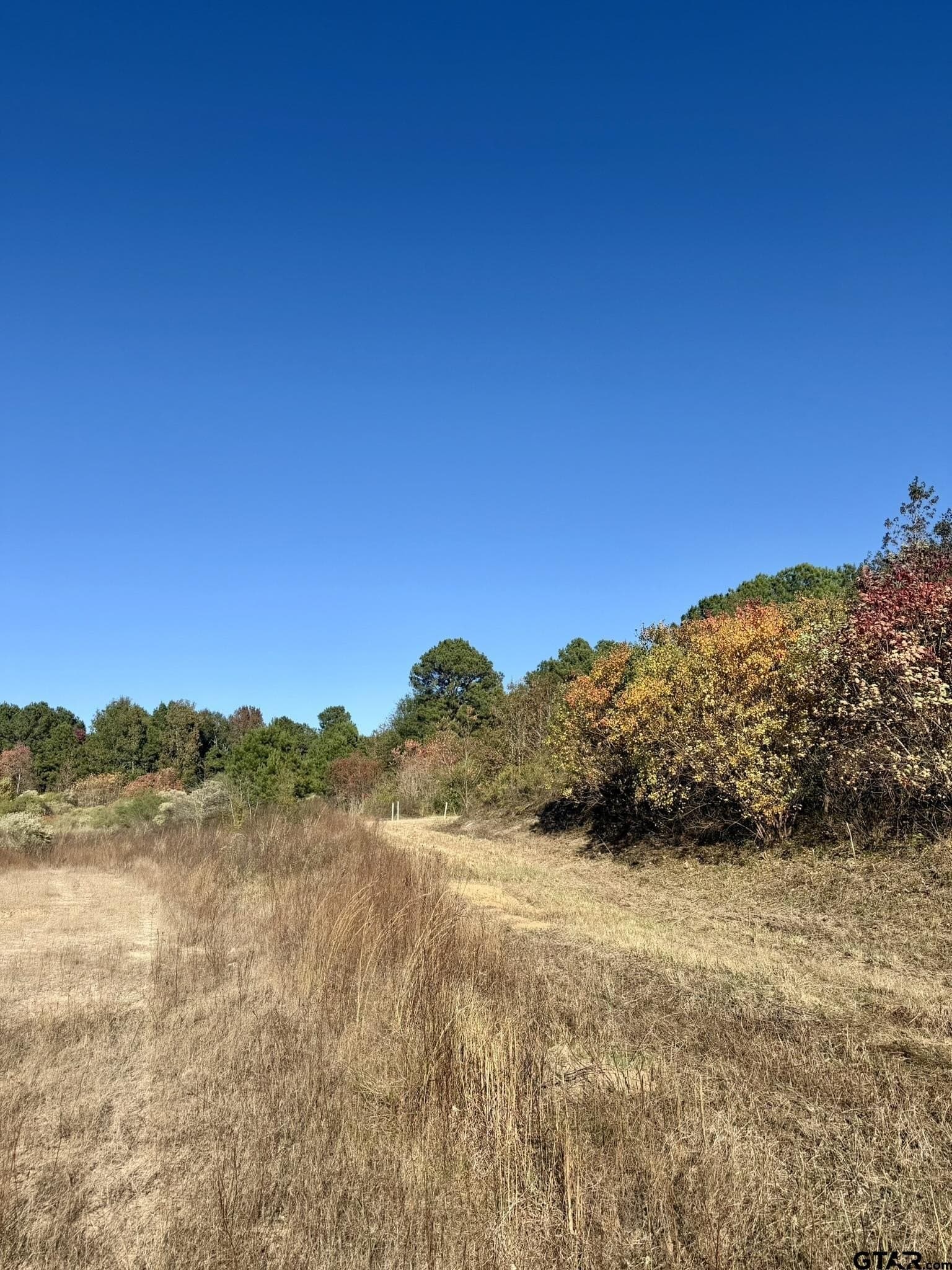11.34 acres in Panola County - photo 12