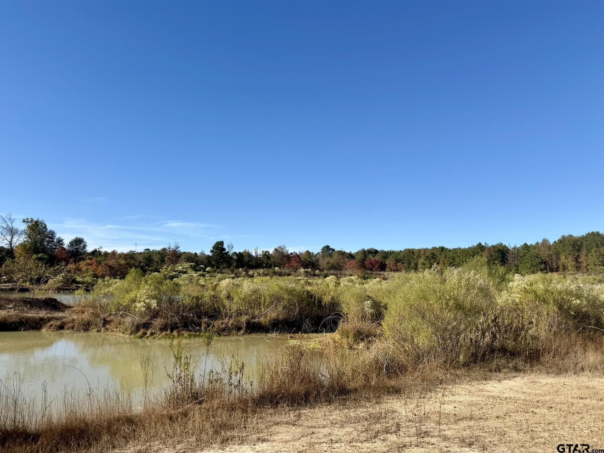 11.34 acres in Panola County - photo 11