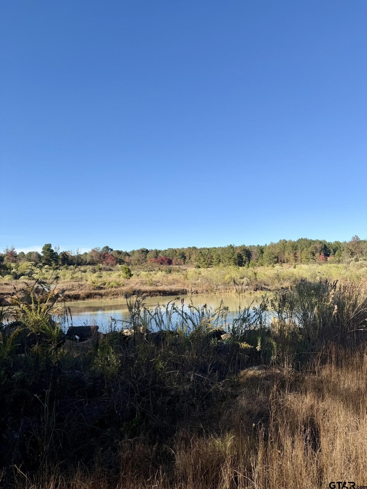 11.34 acres in Panola County - photo 13