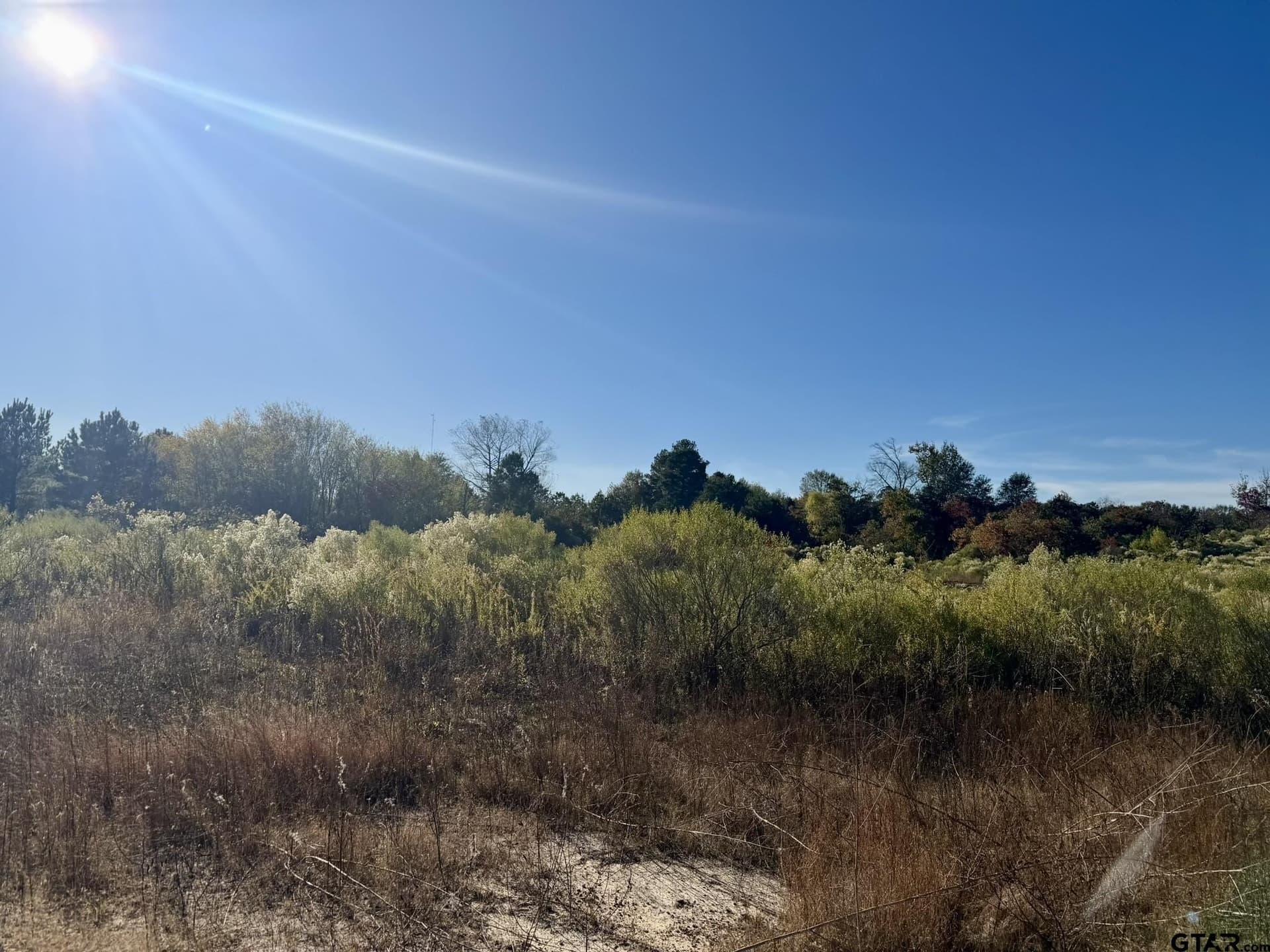 11.34 acres in Panola County - photo 9