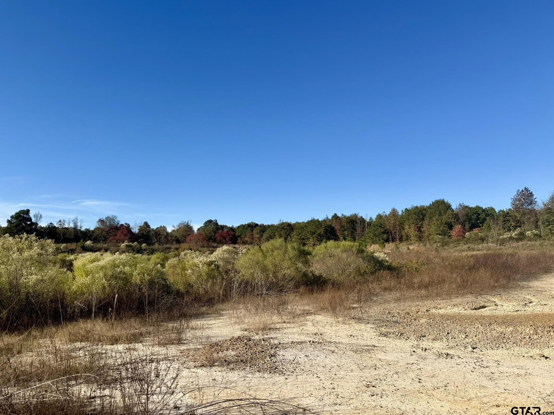 11.34 acres in Panola County - photo 8