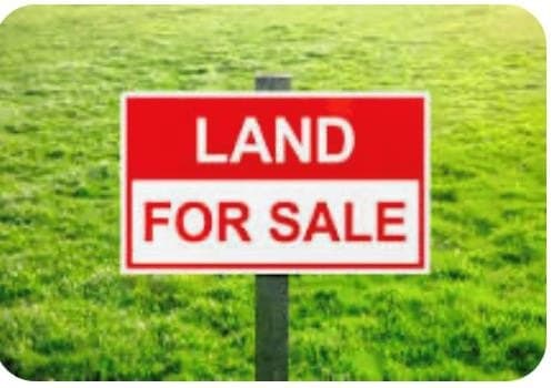 1.07 acres in Ector County gallery image 2